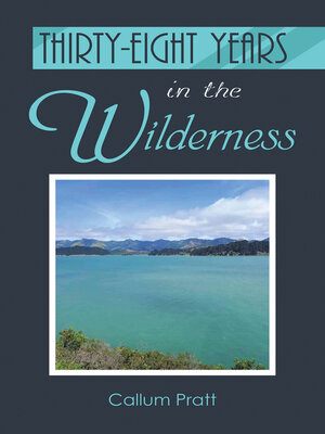 cover image of Thirty-eight Years in the Wilderness